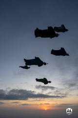 Flock N Dock-16