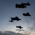 Flock N Dock-16