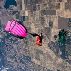 Flock Lake Wales-24