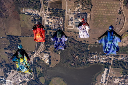 Flock Lake Wales-3
